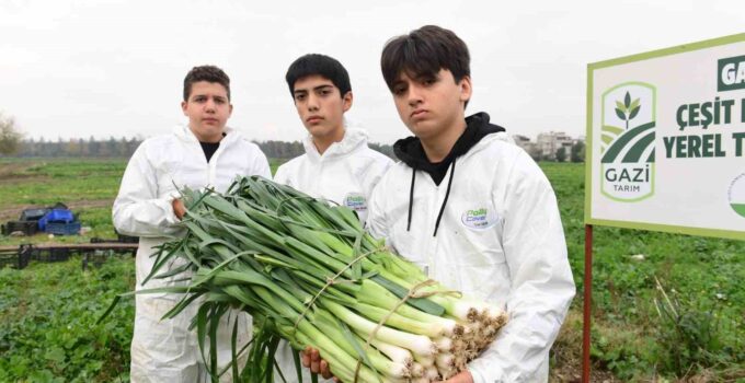 Osmangazi’de pırasa hasadıyla doğallık sofralara taşınıyor