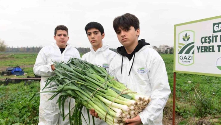 Osmangazi’de pırasa hasadıyla doğallık sofralara taşınıyor