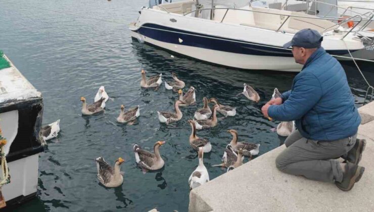 Şarköy’ün maskotu ’Vakvaklar’