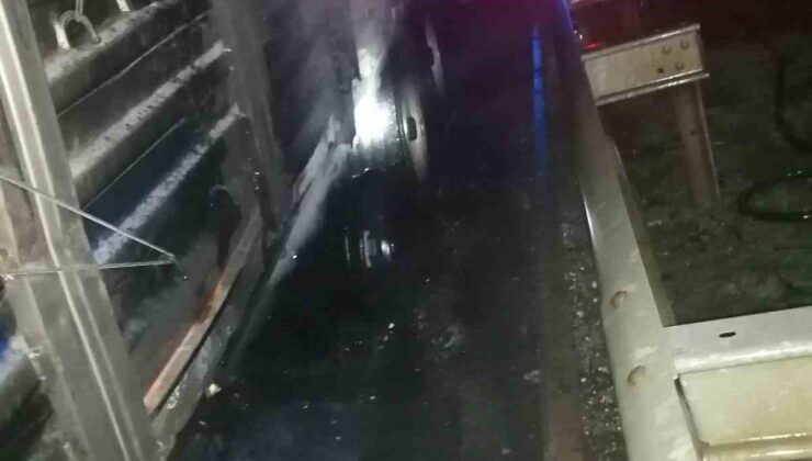 Seyir halindeki çekici alev aldı