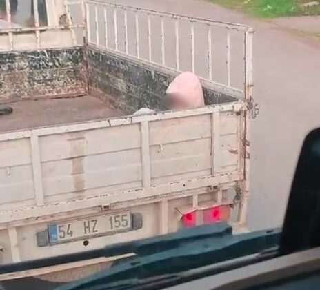 Soğuk havada yürek sızlatan yolculuk