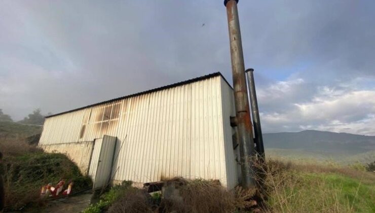 Tavuk çiftliğinde çıkan yangın korkuttu