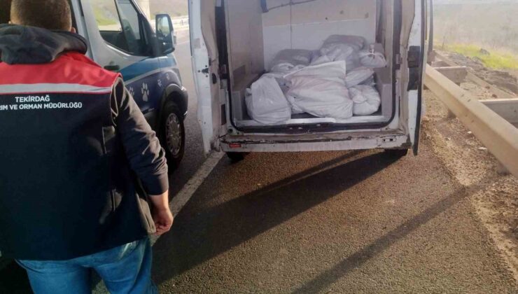 Tekirdağ’da 400 kilo menşei belirsiz kokoreç imha edildi