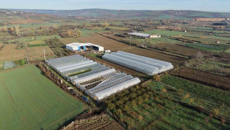 Tekirdağ’da 70 futbol sahası büyüklüğünde sera naylonu dağıtıldı