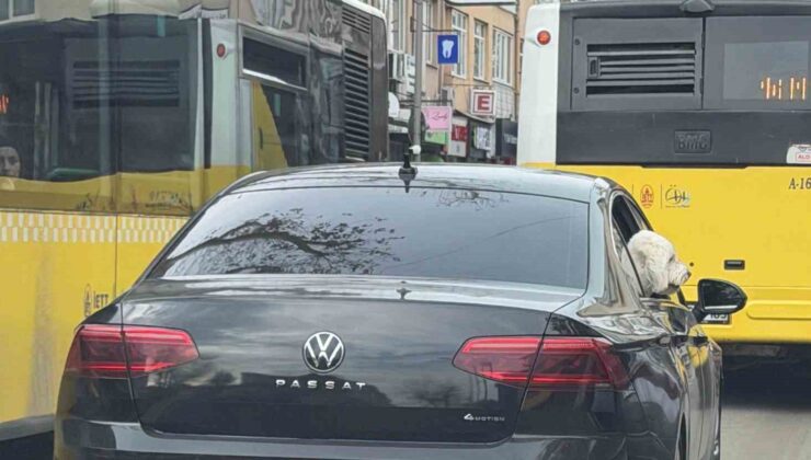 Üsküdar’da yeni başkan eski başkanın makam aracını köpeğine tahsis etti iddiası