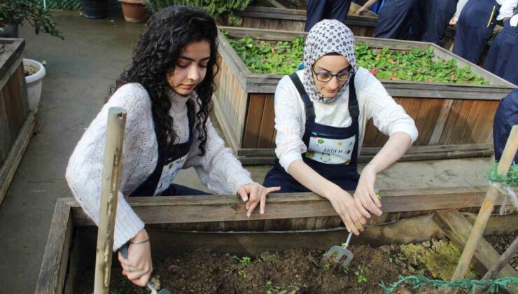 Zeytinburnu’nda ergoterapi öğrencileri engeli olan bireylerle birlikte fide ekti