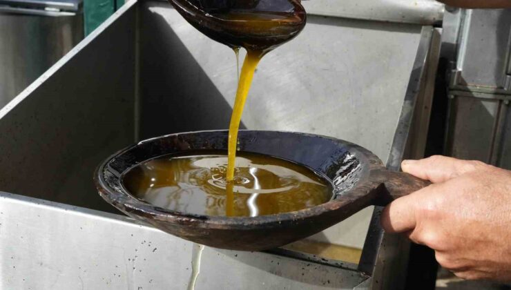 Zeytinyağında dededen kalma “taş baskı” yöntemini yaşatıyor