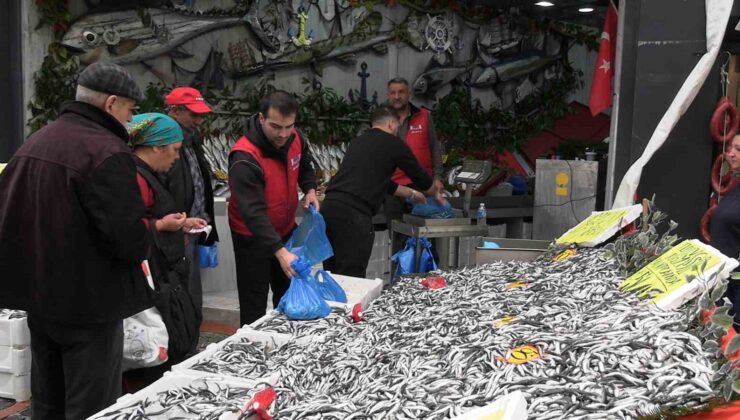 Edirne’de hamsinin kilosu 50 liraya düştü, tezgahlar şenlendi