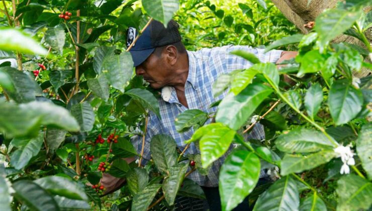 Espressolab’den kahve üretiminde şeffaf ve izlenebilir sistem