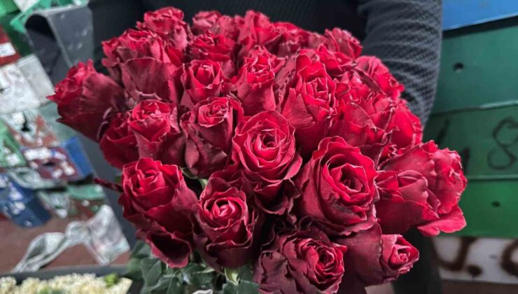 Kırmızı gülü yağış vurdu: Kenya ve Uganda gülleri revaçta