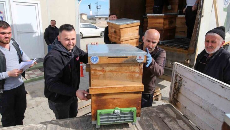 Kırsal üretime kovan desteği