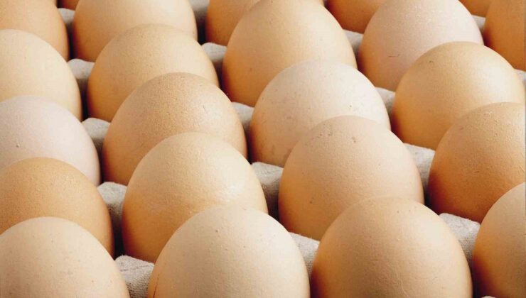 Kişi başına düşen yumurta üretimi 15 adet azaldı