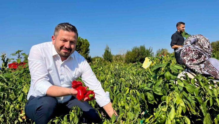 Başkan Aydemir’den, Balıkesir çiftçisine 867 milyon TL’lik müjde