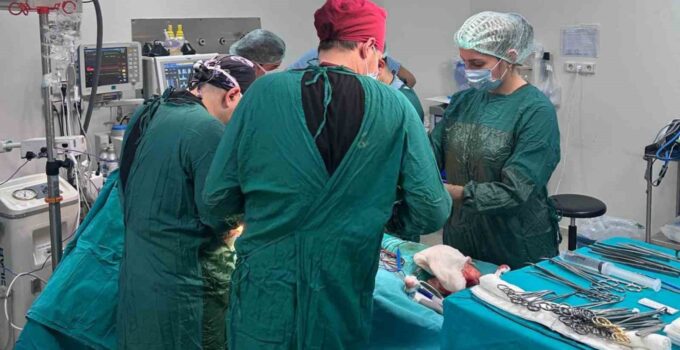 Bursalı doktor ölümüyle 5 hastaya umut oldu