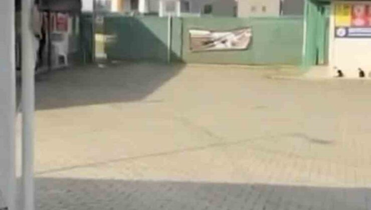 Gemlik Belediyesinin Umurbey’deki barınağını önünde toplanan hayvanseverler içeriye alınmadı