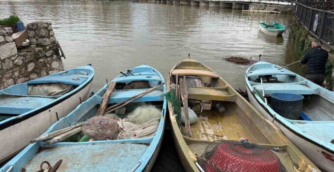 İstilacı İsrail sazanları balıkçılara gelir kaynağı oldu