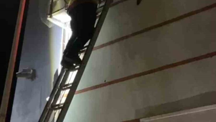 Klima motoruna sıkışan yavru kedi kurtarıldı