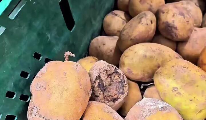 Market raflarında tarihi geçmiş tavuk ve içecek alarmı