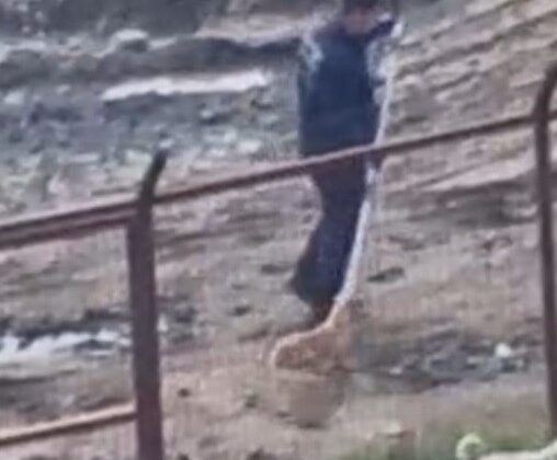 Sakarya Valiliğinden iki ilçedeki barınak görüntülerine ilişkin açıklama