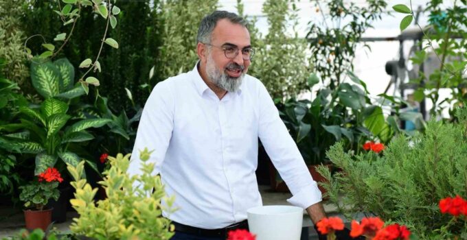 Süs bitkileri üretimi Kestel Belediyesi ile dünya pazarına açılıyor