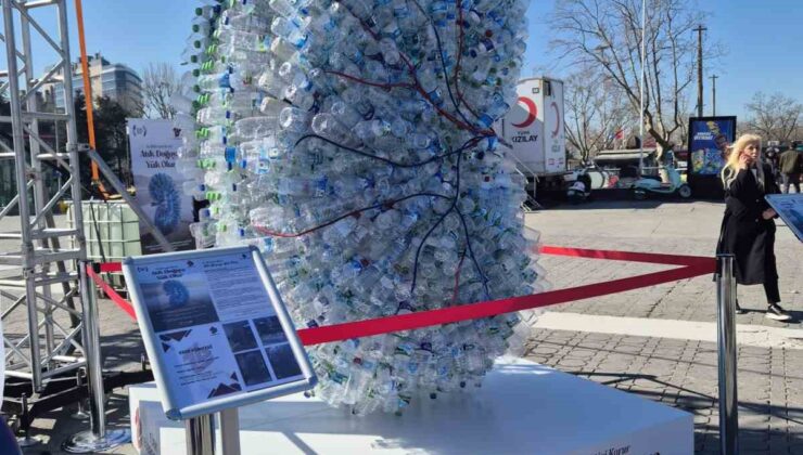 Türkiye’de 72 bin diyaliz hastası bulunuyor