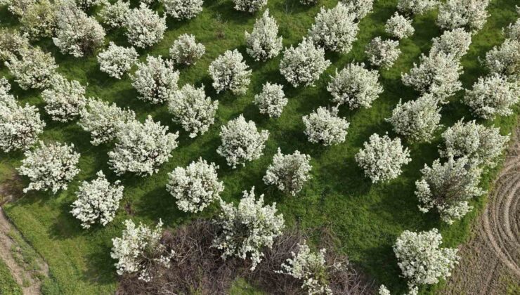 İnegöl’de kartpostallık görüntüler