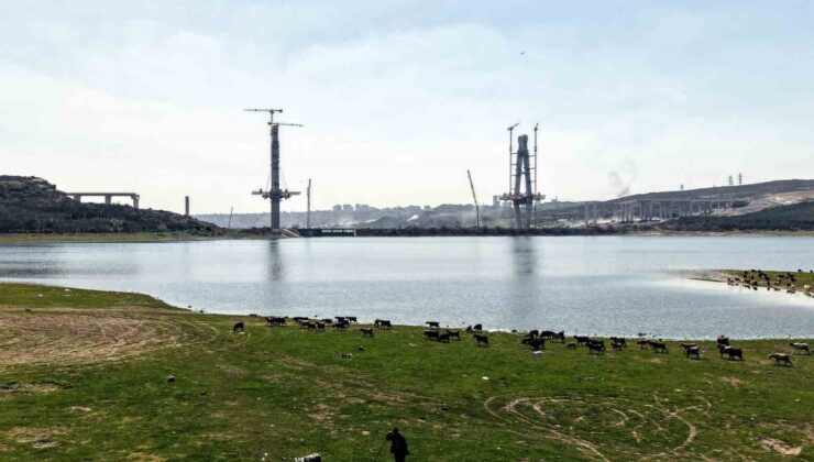 İstanbul’un yeni yüzü; köprü yükselirken keçiler merada