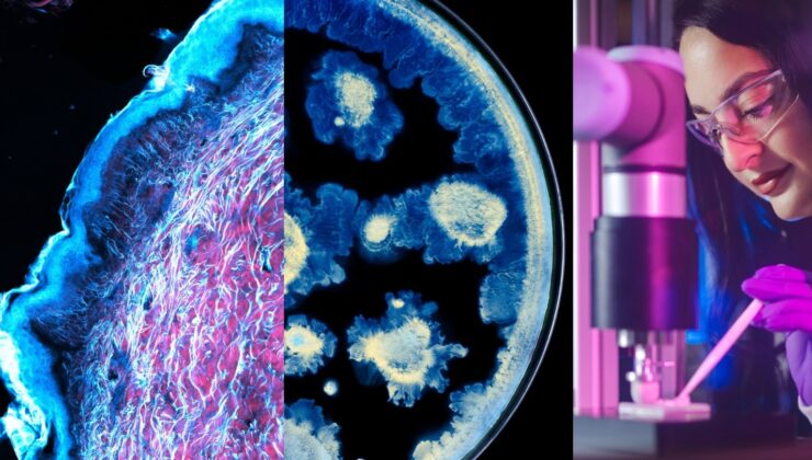 L’Oréal ve Institut Pasteur’den cilt sağlığı biliminde iş birliği