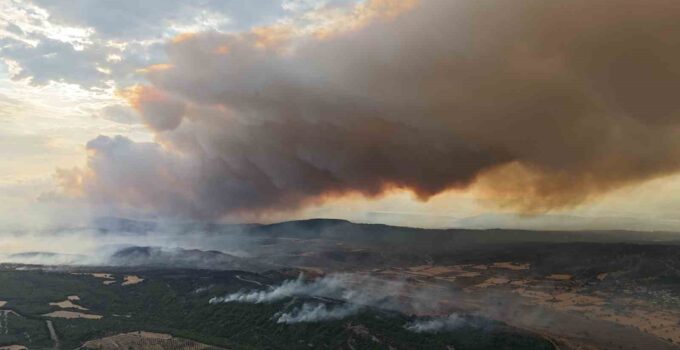 Çanakkale Valiliği uyardı, ormana girişler yasaklandı