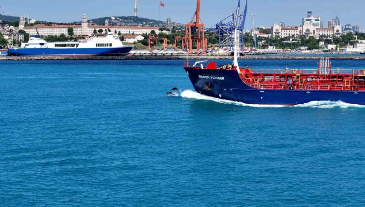 İstanbul Boğazından yunus sürüsüyle Kurban bayramı manzarası