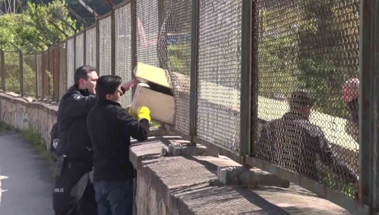 Maltepe’de ormanda erkek cesedi bulundu
