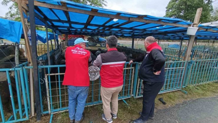 Tekirdağ’da kurbanlık satış yerlerinde sıkı denetim
