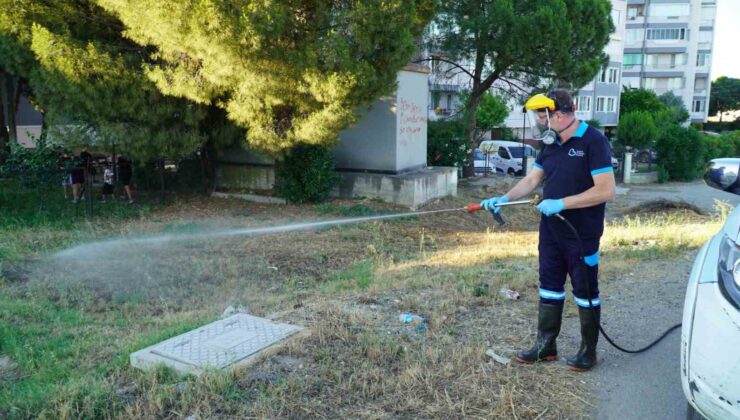 Balıkesir’de vektörle mücadelede tam zamanlı mesai