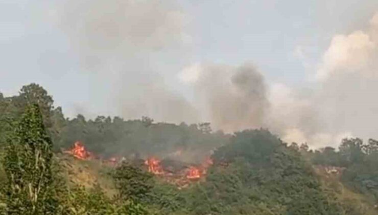 Bursa’da makilik alanda yangın