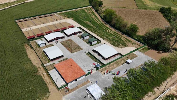 Güney Marmara’nın en modern hayvan bakım evi Yenişehir’e açıldı
