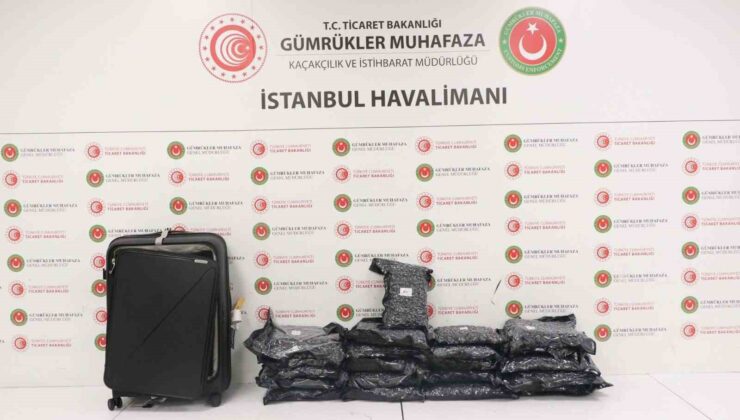 İstanbul Havalimanı’nda uyuşturucu operasyonu: 22,5 kilogram esrar ele geçirildi