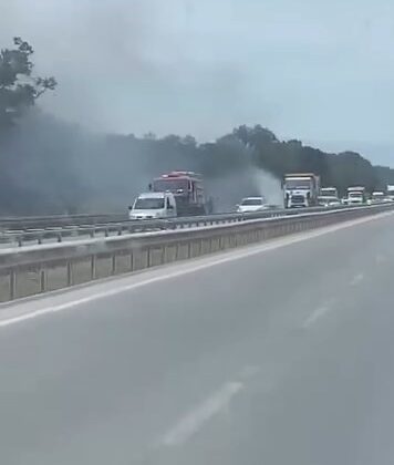 İzmir-Bursa kara yolunda alevler korkuttu