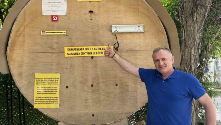 Kadıköy’de ilginç görüntü: Bakkalın önünde dev bal kovanı