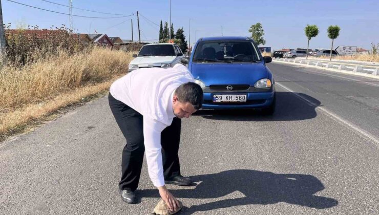 Kaplumbağayı ezilmekten kurtardı