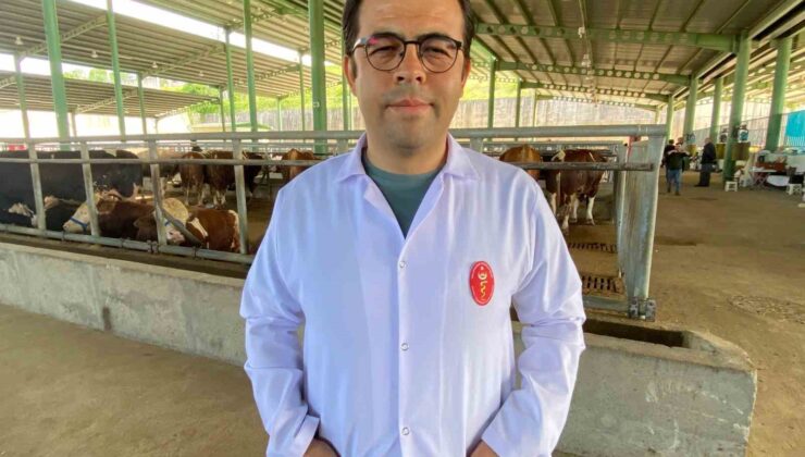 Kene tehdidine dikkat: 200’den fazla hastalık etkeni taşıyabiliyor