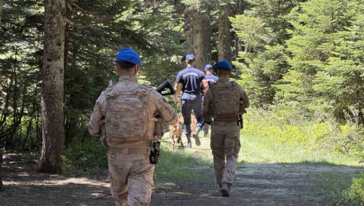 Uludağ’ın zümrüt yeşili ormanları Jandarma’ya emanet